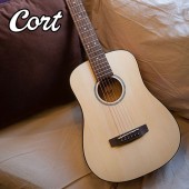 ��ǰ ������