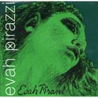 ��ǰ ������